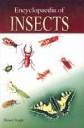 Encyclopaedia of Insects (In 2 Volumes)