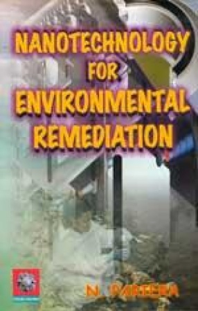 Nanotechnology for Environmental Remediation