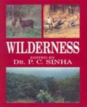 Wilderness
