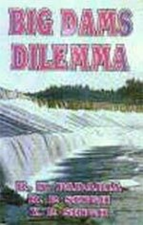 Big Dams Dilemma