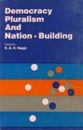 Democracy Pluralism and Nation-Building