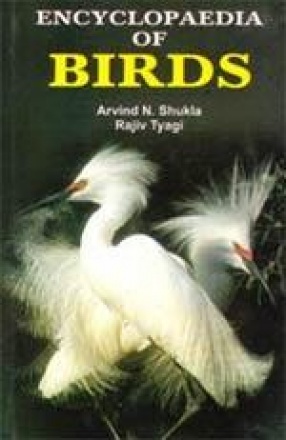 Encyclopaedia of Birds (In 3 Volumes)