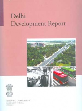 Delhi Development Report