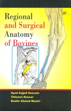 Regional and Surgical Anatomy of Bovines