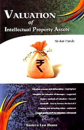 Valuation of Intellectual Property Assets