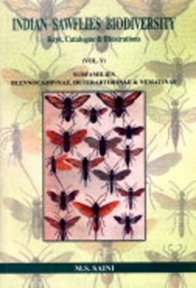 Indian Sawflies Biodiversity: Subfamilies Blennocampinae, Heterarthrinae and Nematinae: Keys, Catalogue and Illustrations, Volume 5