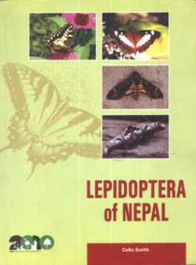 Lepidoptera of Nepal