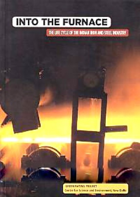 Into the Furnace: The Life Cycle of the Indian Iron and Steel Industry