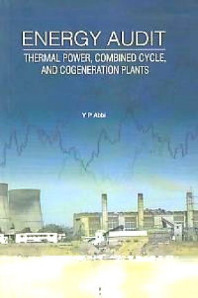 Energy Audit: Thermal Power, Combined Cycle, and Cogeneration Plants