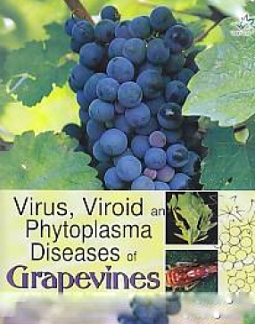 Virus, Viroid and Phytoplasma Diseases of Grapevines