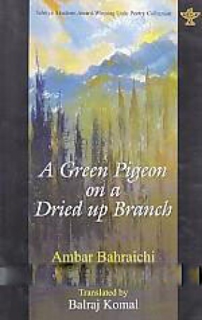 A Green Pigeon on a Dried up Branch