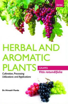 Herbal and Aromatic Plants: Grapes: Vitis Rotundifolia: Cultivation, Processing Utilizations and Applications
