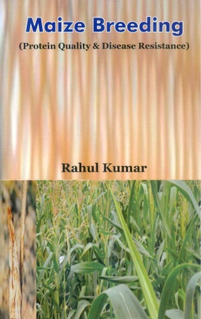 Maize Breeding: Protein Quality & Disease Resistance