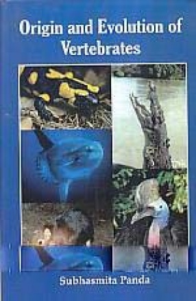 Origin and Evolution of Vertebrates