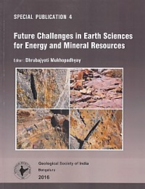 Future Challenges in Earth Sciences for Energy and Mineral Resources