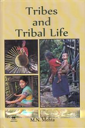 Tribes and Tribal Life: Social and Cultural Development