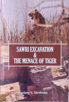 Sawri Excavation and the Menace of Tiger