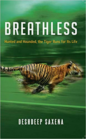 Breathless: Hunted and Hounded, the Tiger Runs for its Life