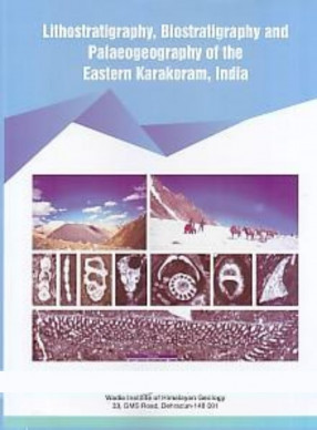 Lithostratigraphy, Biostratigraphy and Paleogeography of the Eastern Karakoram, India