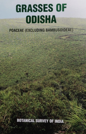 Grasses of Odisha: Poaceae (Excluding Bambusoideae)