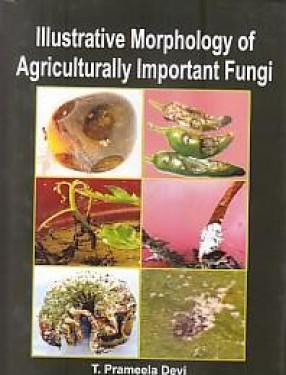 Illustrative Morphology of Agriculturally Important Fungi 